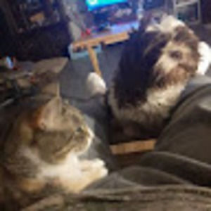 Meet your Posher, Neil